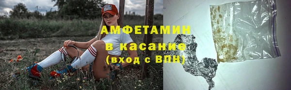 ГАЛЛЮЦИНОГЕННЫЕ ГРИБЫ Богданович